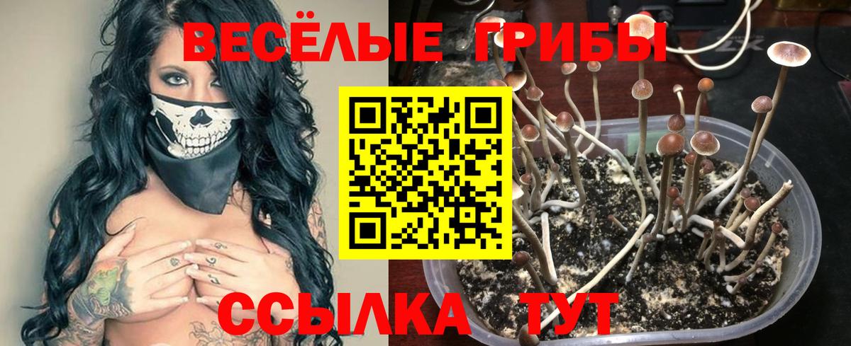 Псилоцибиновые грибы ЛСД  Вход с VPN  сколько стоит  Галлюциногенные грибы Magic Shrooms  Печора 