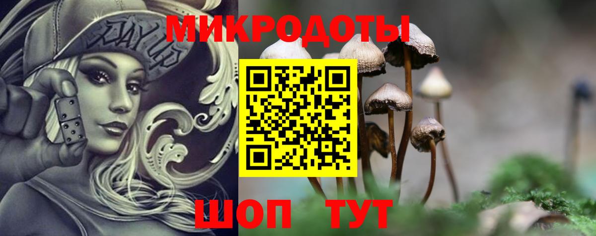 Псилоцибиновые грибы Cubensis Печора